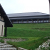 Trening Aikido w Anshin Dojo ��d�
